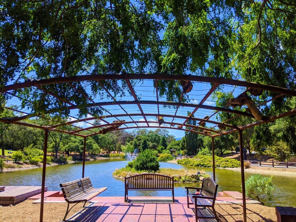 Sharon Park 1