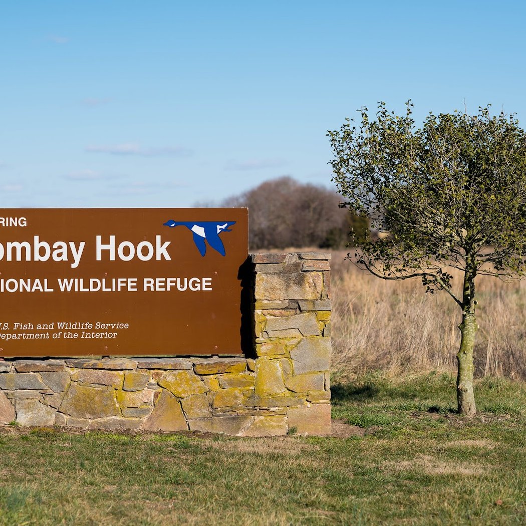 Bombay Hook National Wildlife Refuge 2