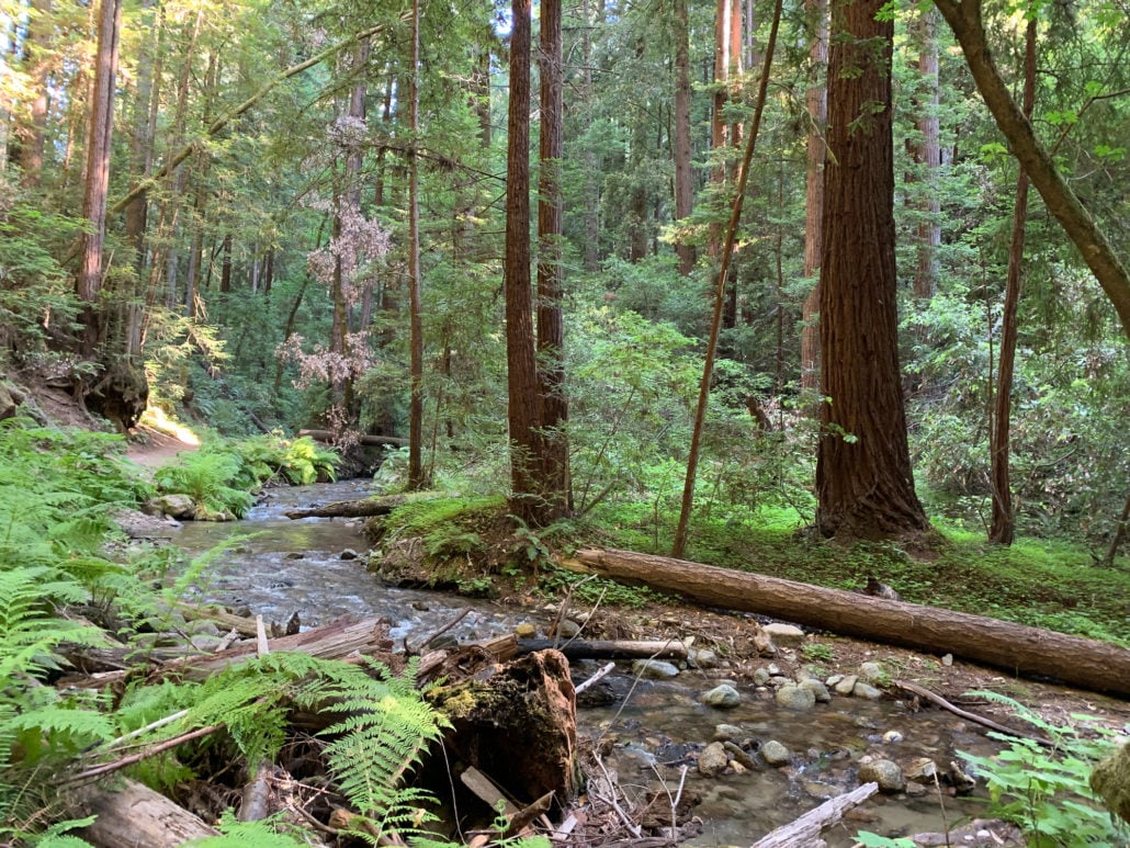 Fall Creek Trail 1