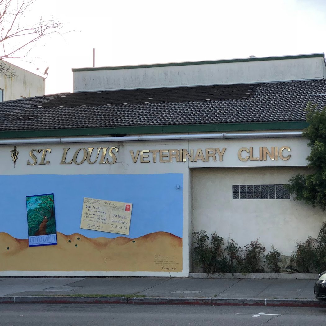 St Louis Veterinary Clinic 2