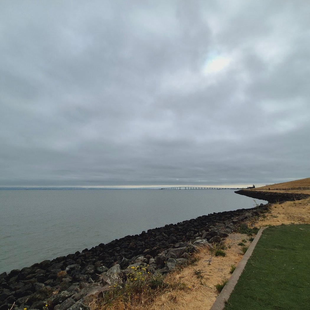 Seal Point 2
