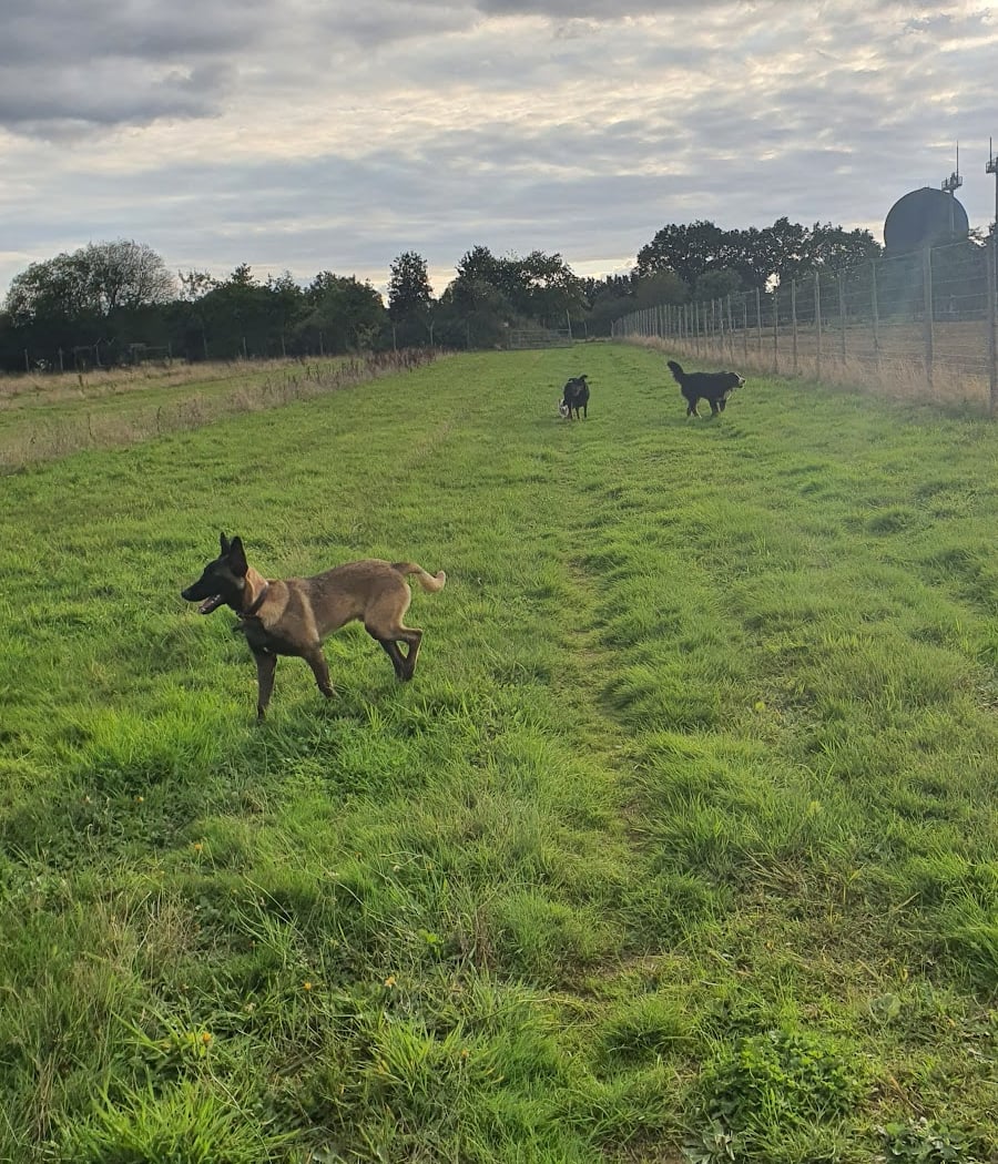 Parc canin truffissime 3