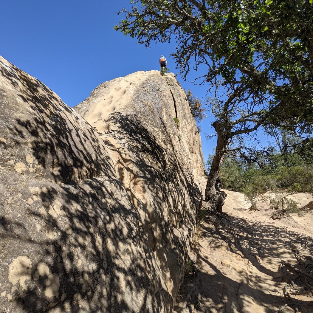 Elephant Rock 2