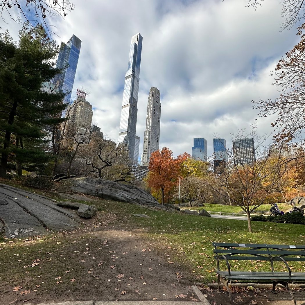 Central Park Lawn Sports Center 2