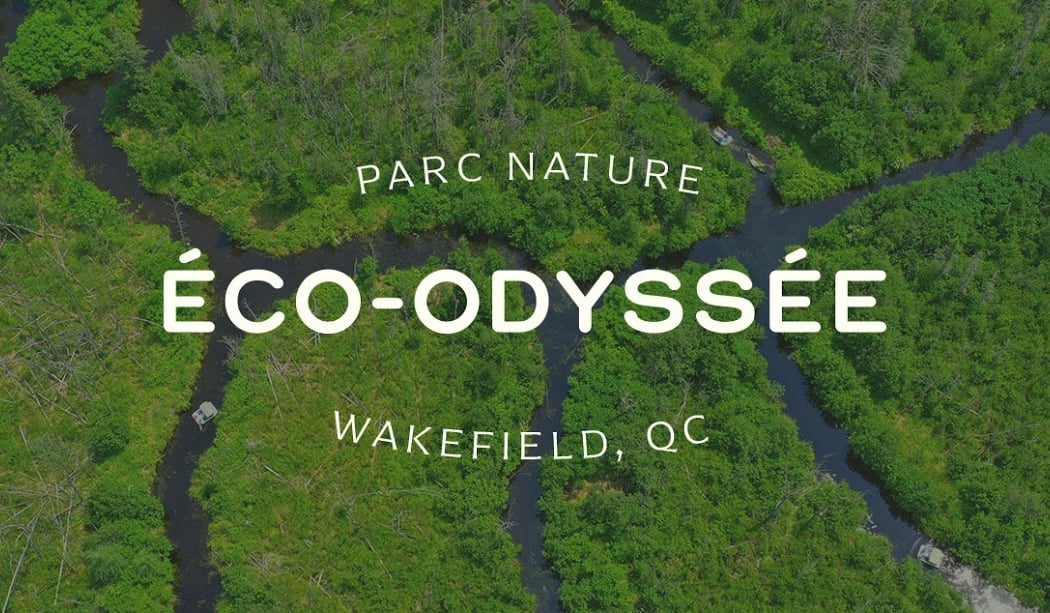 Eco-Odyssee 2