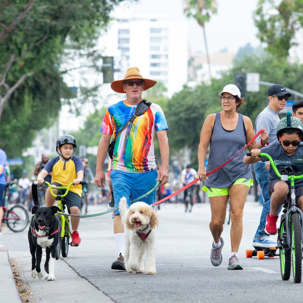 CicLAvia—Meet the Hollywoods 2