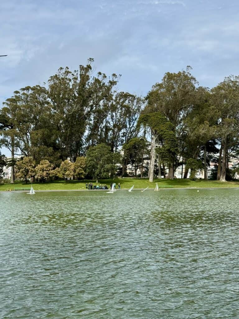 Spreckels Lake 2