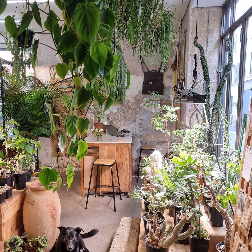 Jardinerie Akou 1