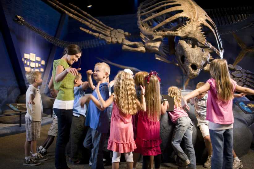 Hall of Saurischian Dinosaurs 2