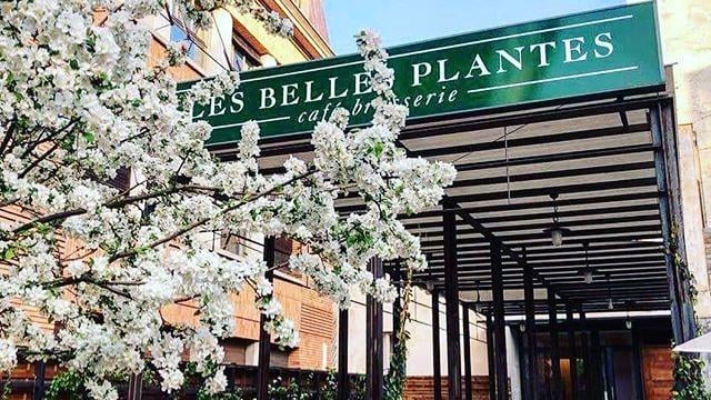Les Belles Plantes 2