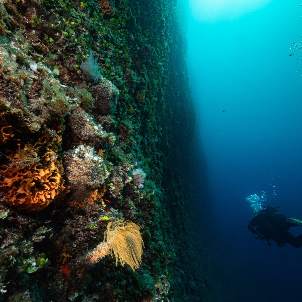 Nautical Club Provençal Scientific Research 1