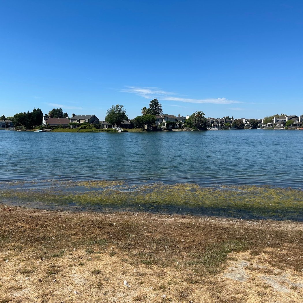 Marlin Park Beach 3