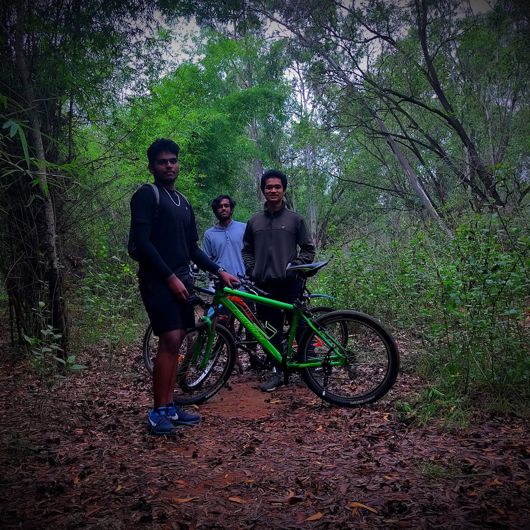 Hennur Bamboo Forest 2
