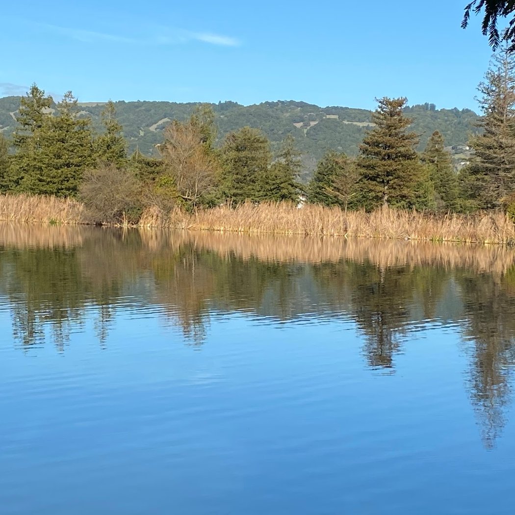 Roberts Lake 1