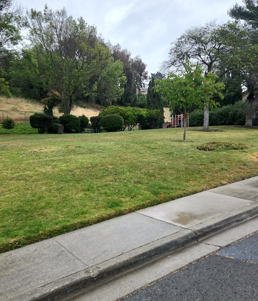 Canyon Drive Park 2