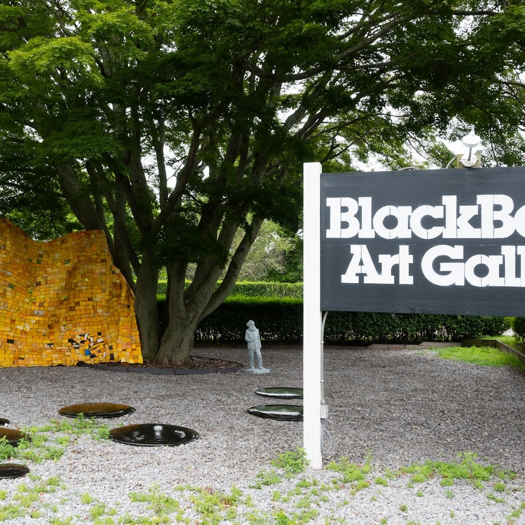BlackBook Art Gallery 2
