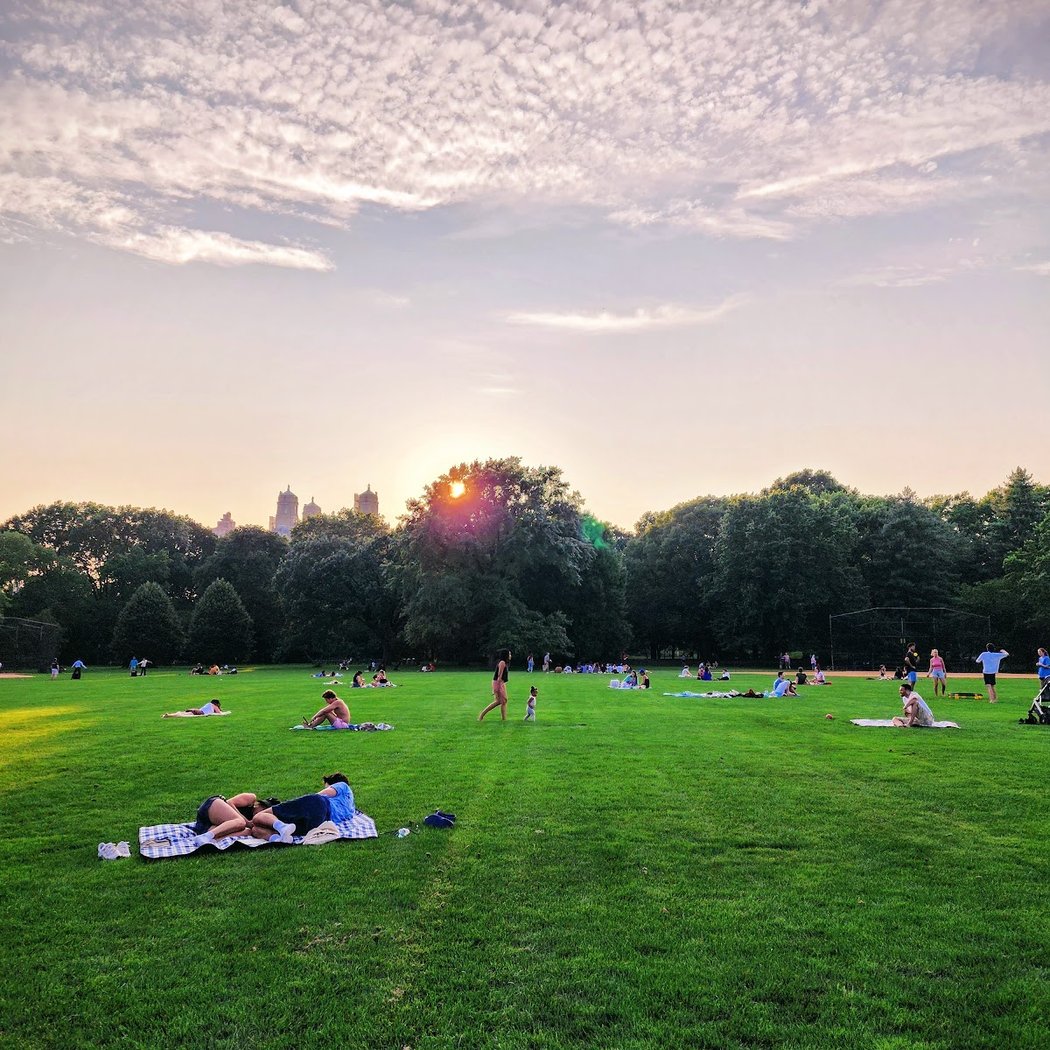 New York Philharmonic Concerts in the Parks 1