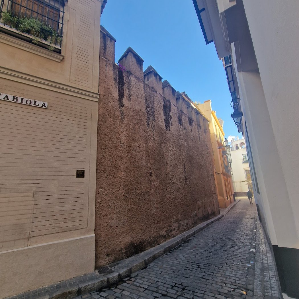 Restos de la Muralla de la Judería 1