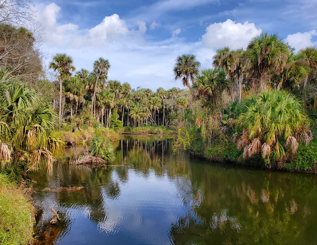 Turkey Creek Sanctuary 1