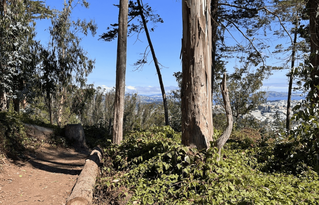 Historic Trail 1
