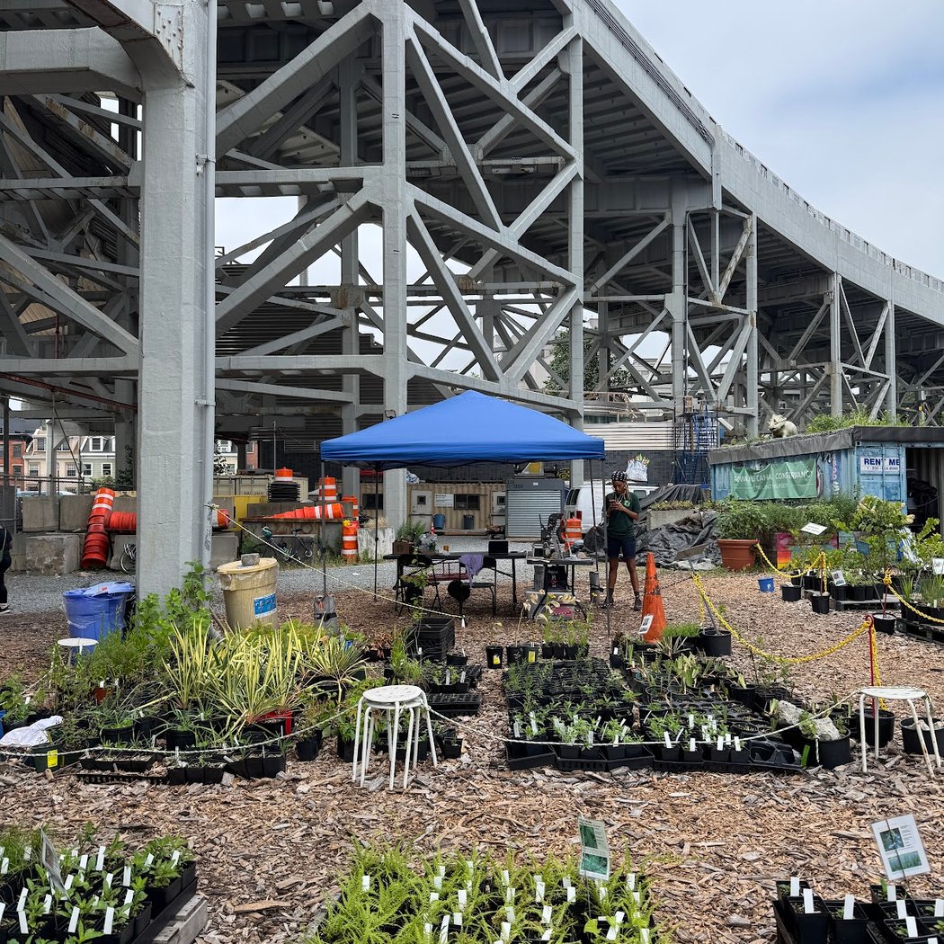Lowlands Nursery, Gowanus Canal Conservancy 2