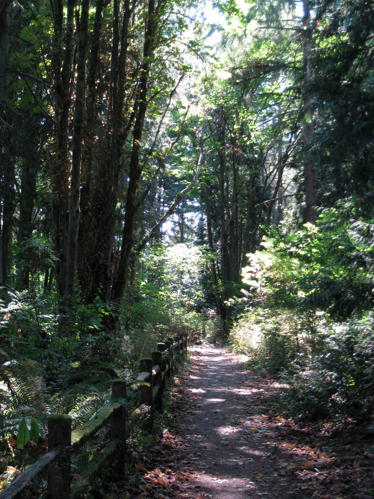 Summer Berry Celebration and Restoration at Westcrest Park 3