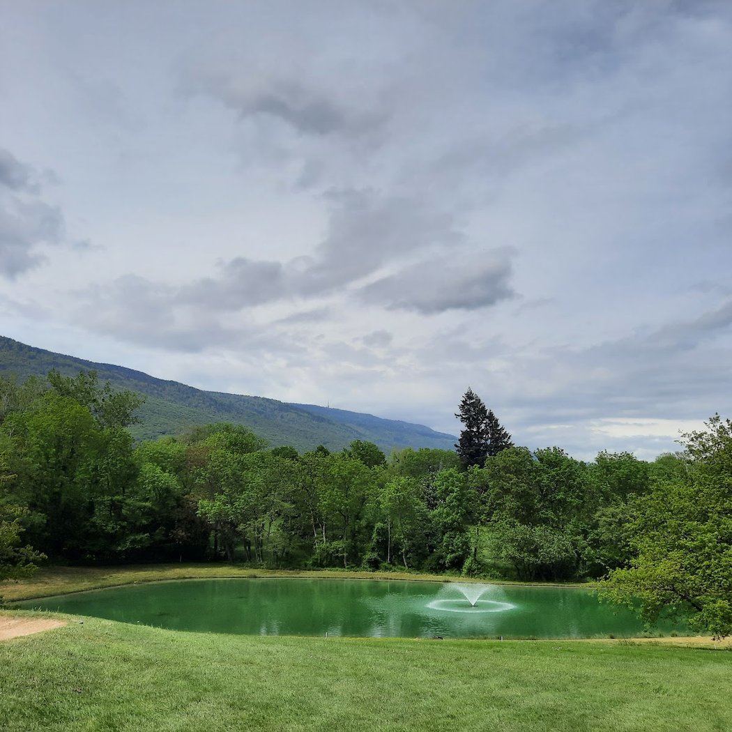 Golf de Divonne Les Bains 3
