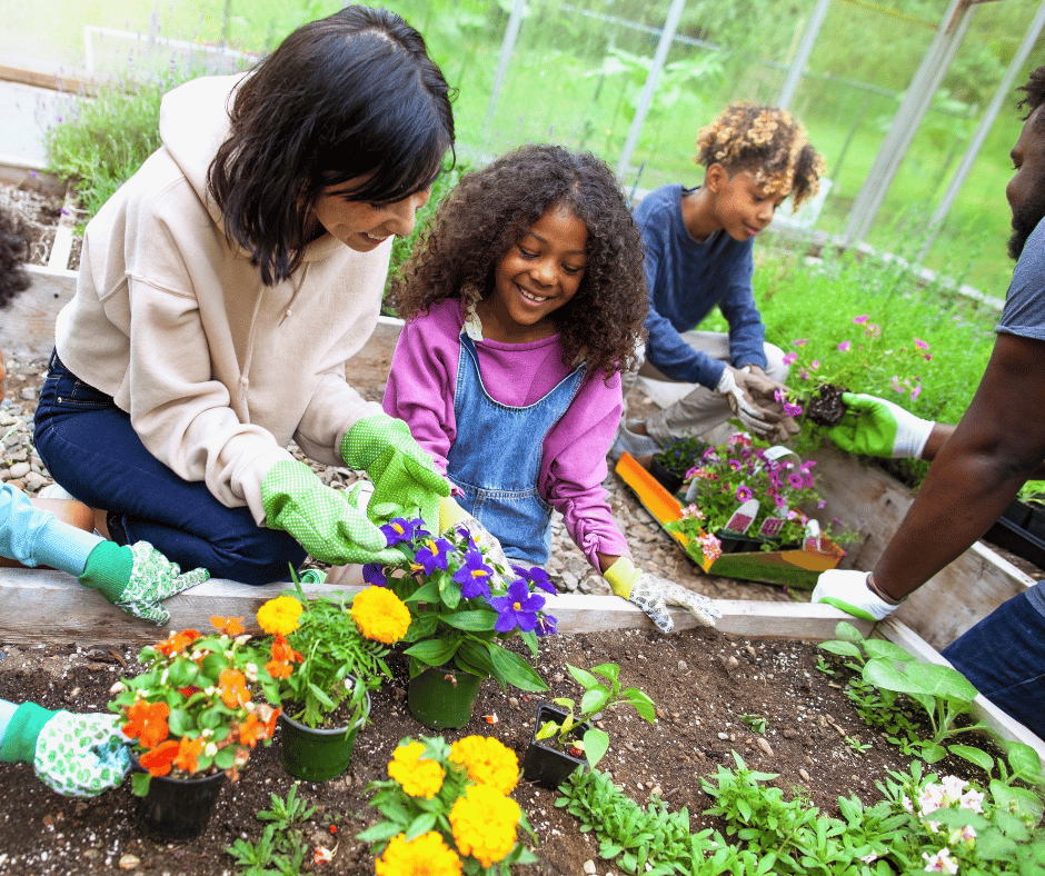 Community Farm Day