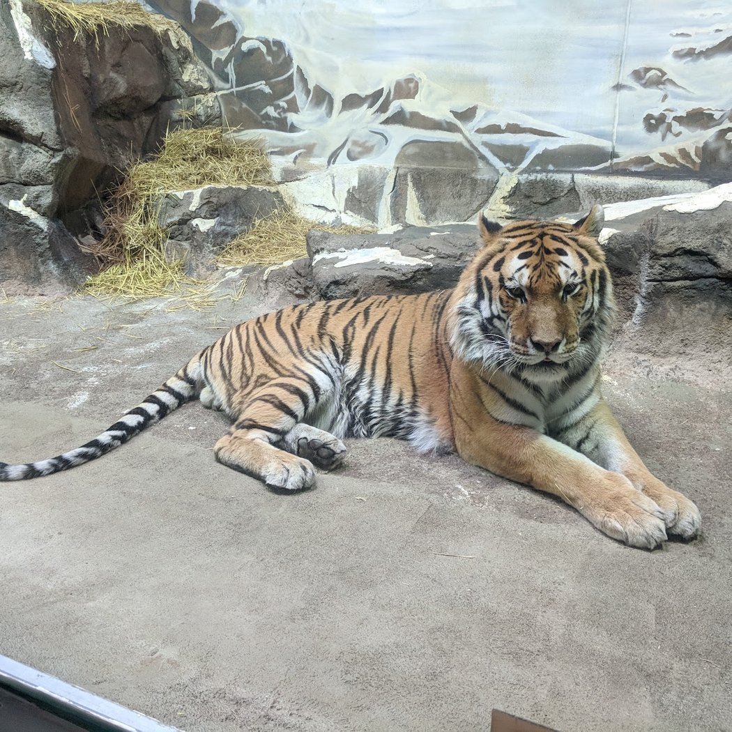Potter Park Zoo 3