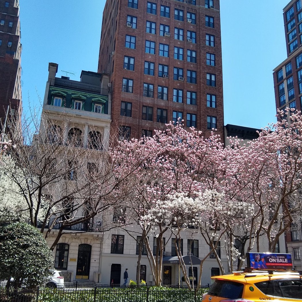 Gramercy Park 3