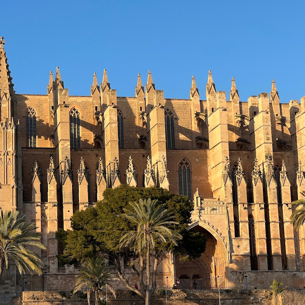 Catedral-Basílica de Santa María de Mallorca 2