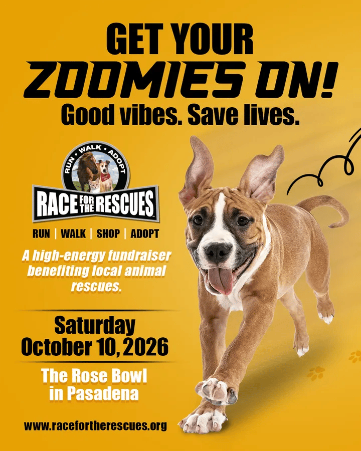 Race for the Rescues 1