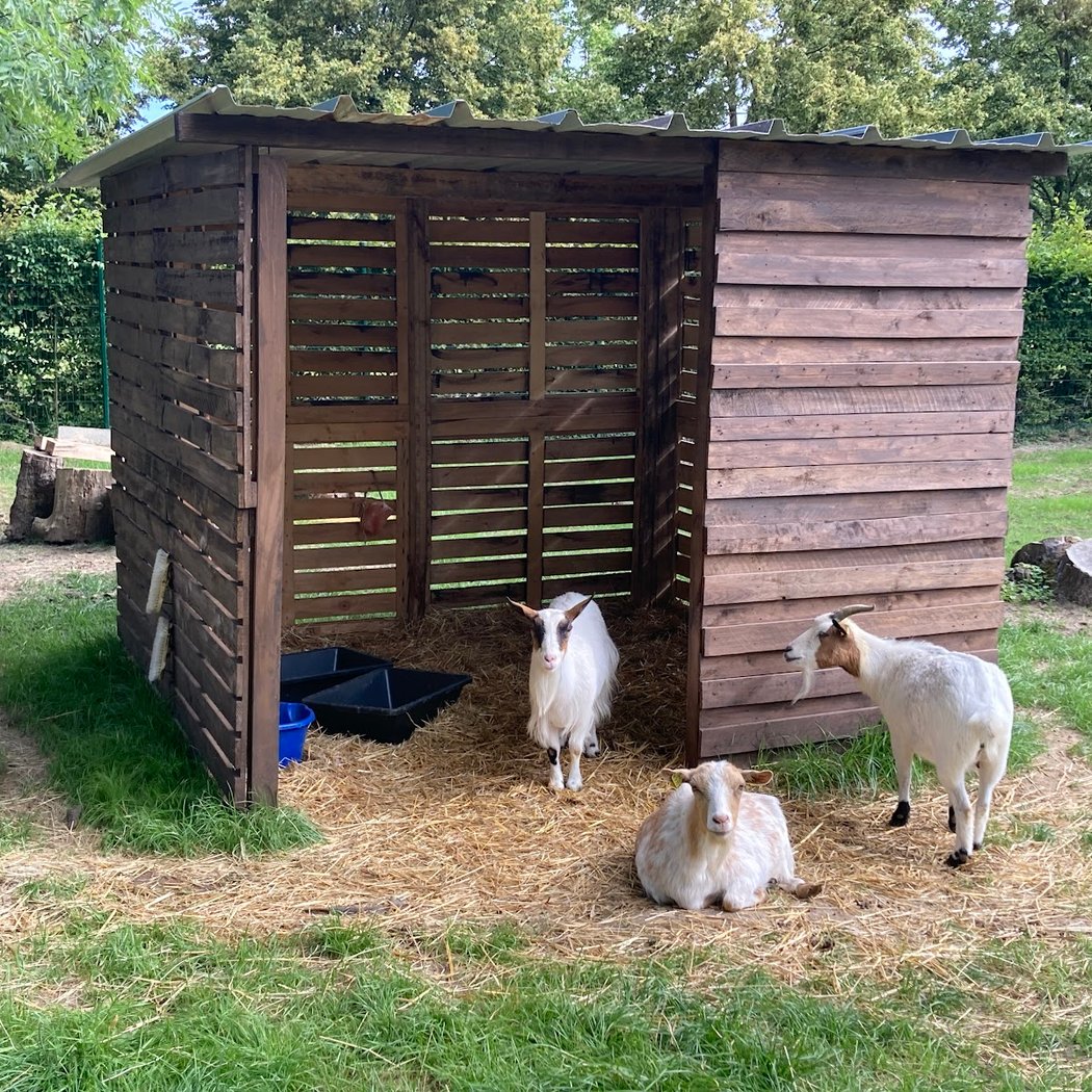 La ferme des 1001 pattes 3
