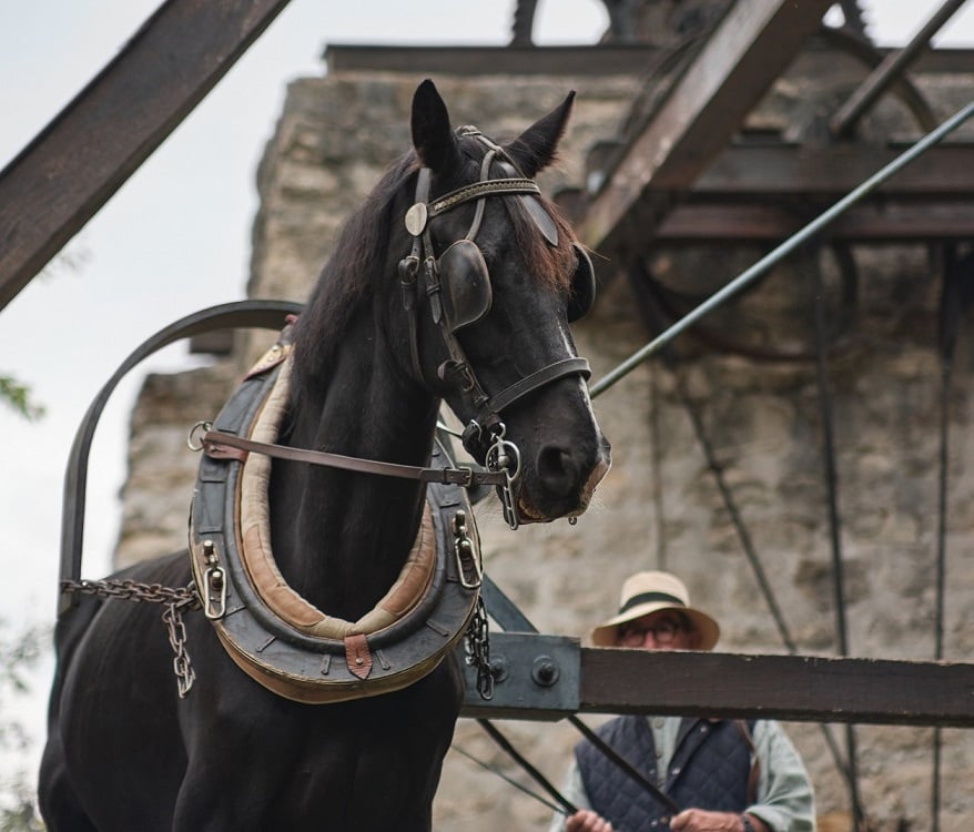 Journées du Patrimoine 2026 : le treuil de la carrière Auboin reprend vie 3
