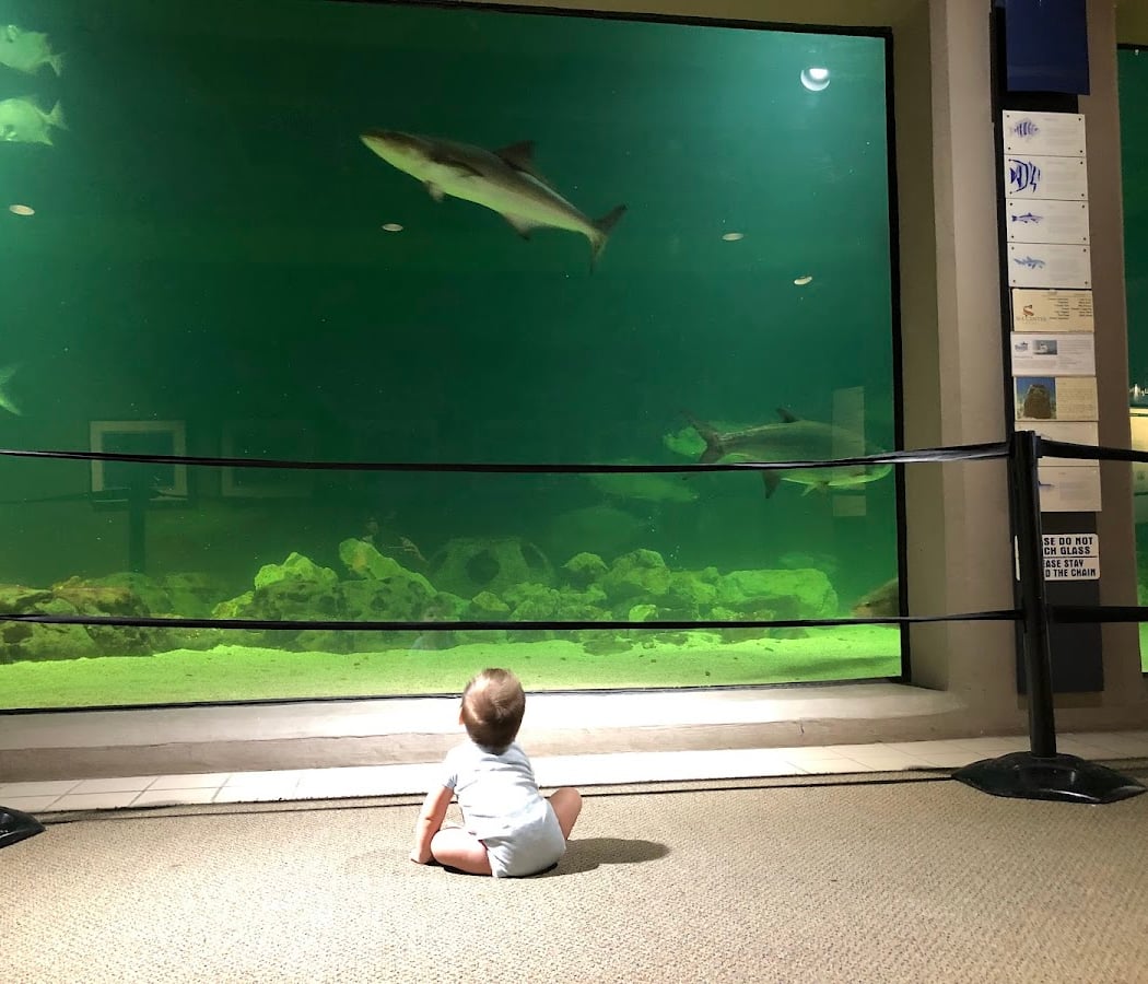 Sea Center Texas 1