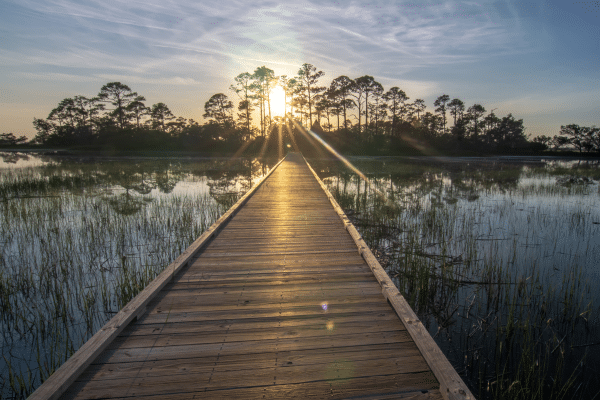 Salt Marsh Stroll 1