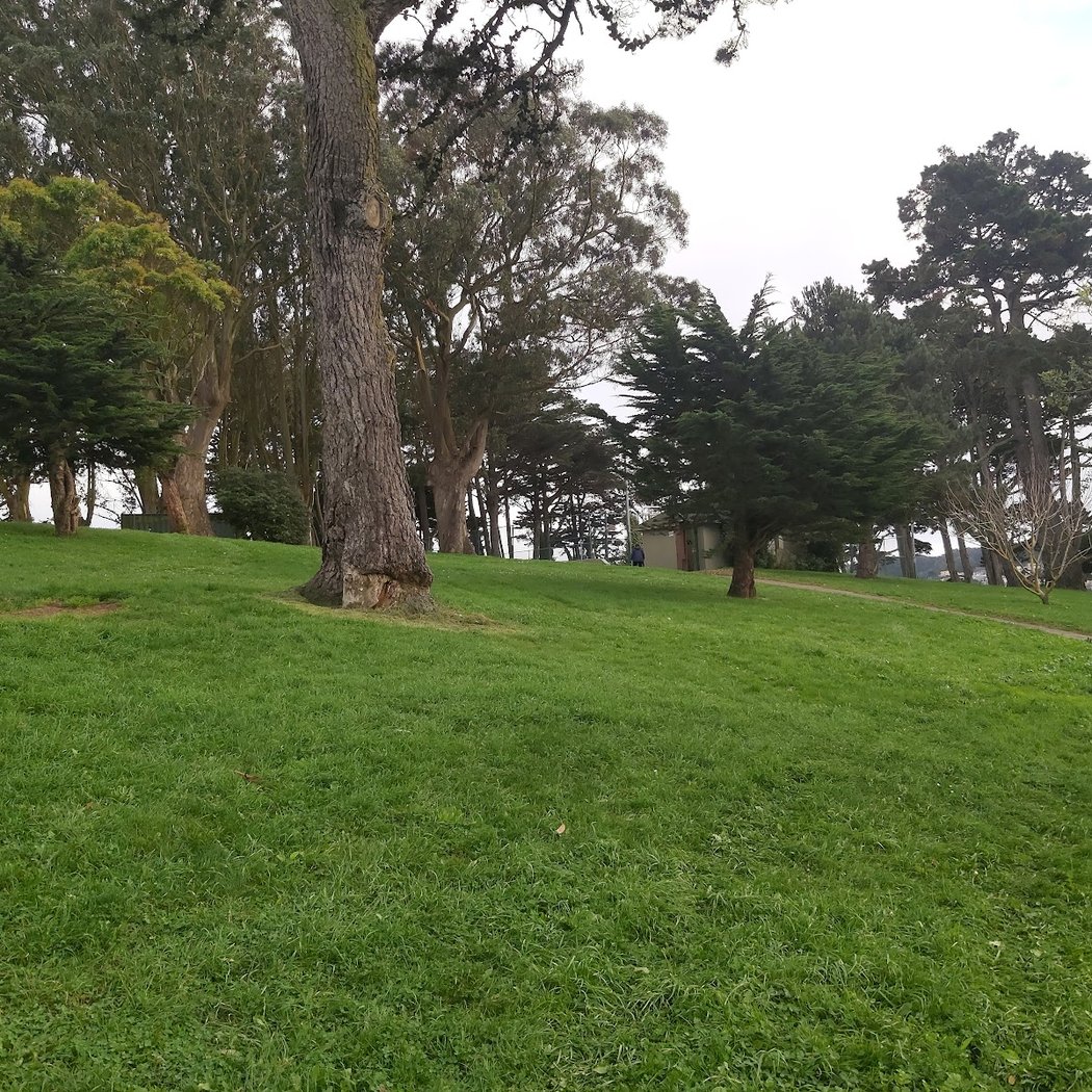 Holly Park Picnic Area 3