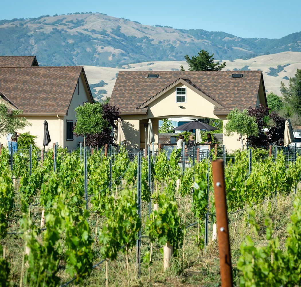 Lion Ranch Vineyards & Winery 3