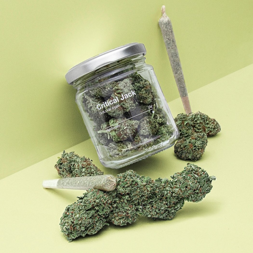CBD SAINT NAZAIRE HIGH SOCIETY| Magasin CBD 1