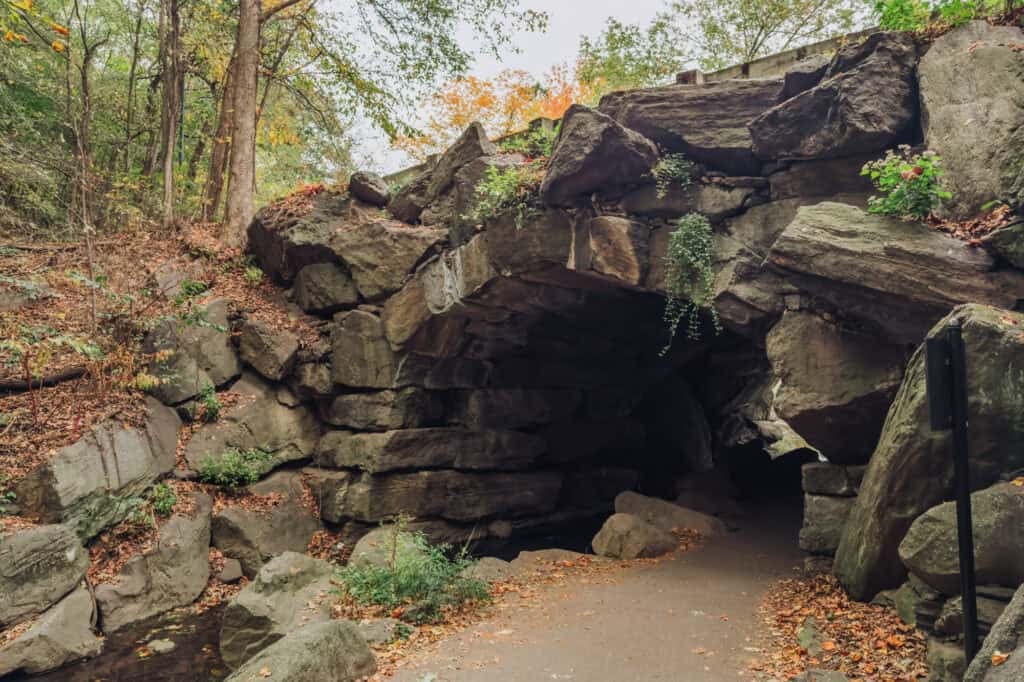 North Woods 3