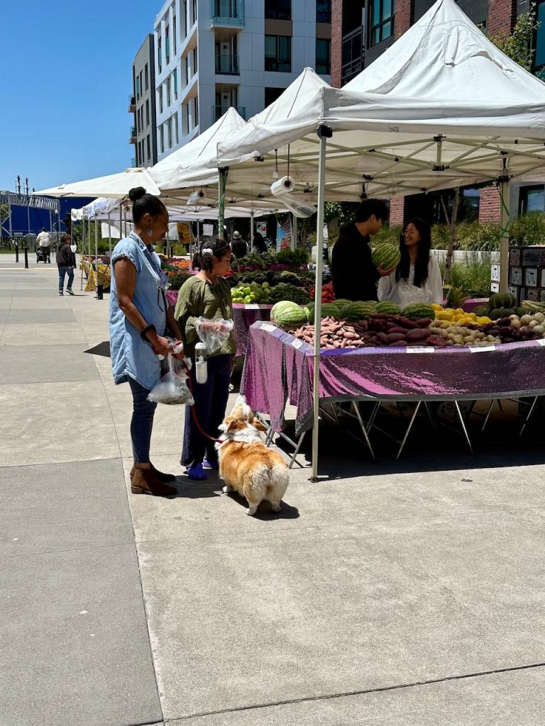 The Emery Weekly Farmers’ Market 3
