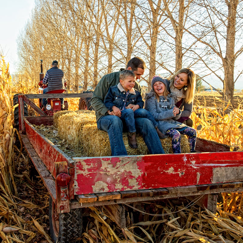 Fall Festival Weekends 3
