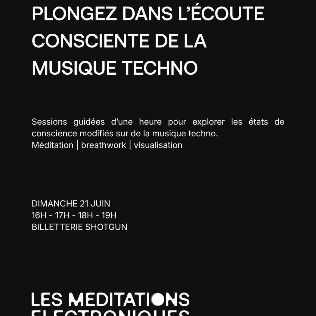Les Méditations électroniques 2