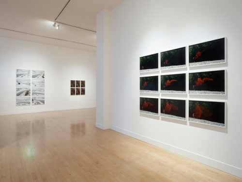 Andy Goldsworthy: Drawing Water Standing Still 3