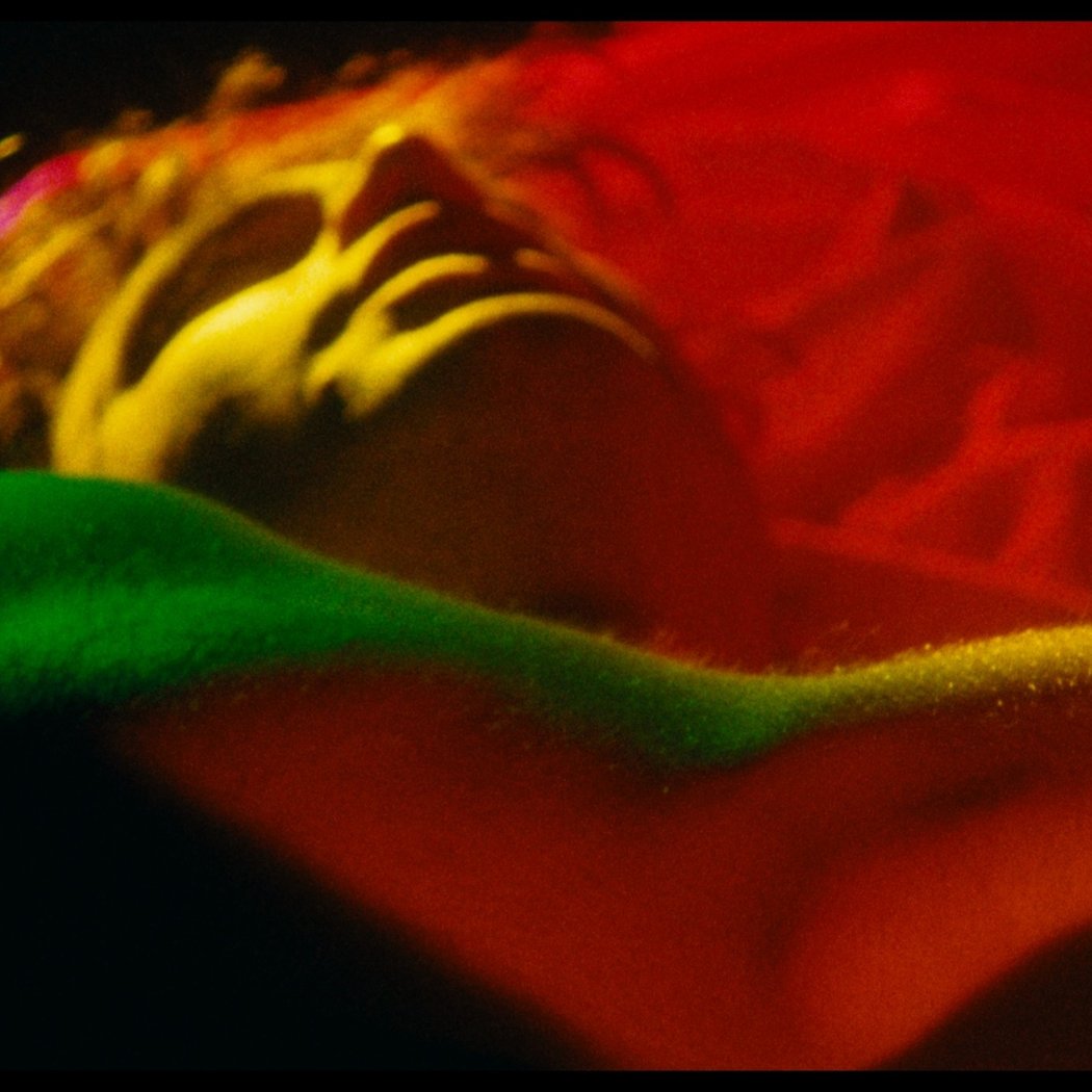 Anything That Moves - 35MM + Q&A 1