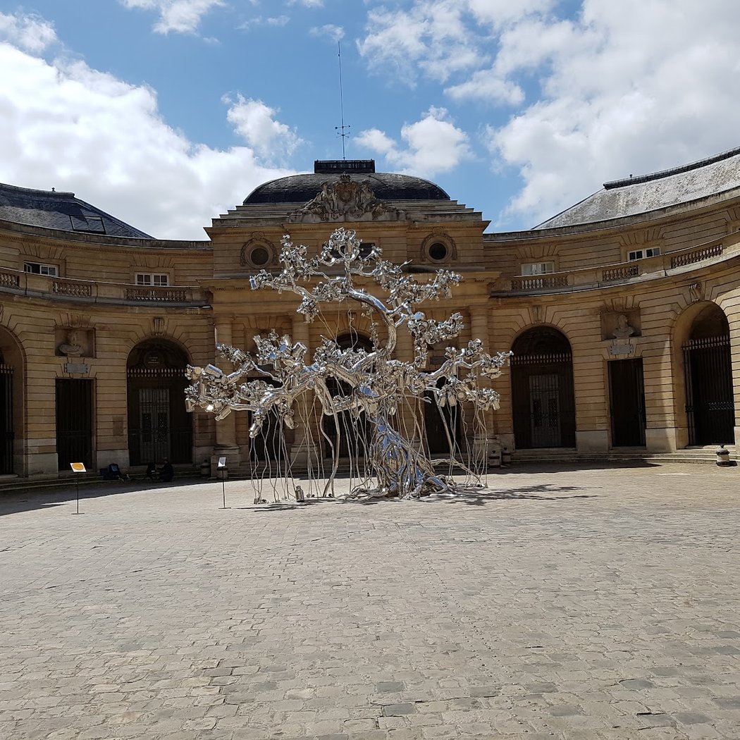 Les séances de cinéma en plein air de l’été 3