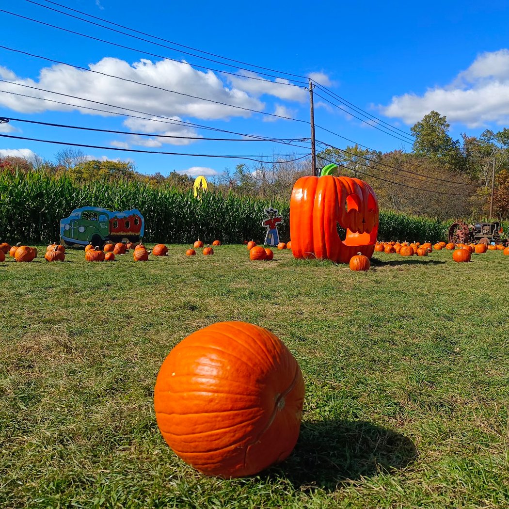 Secor Farms 3