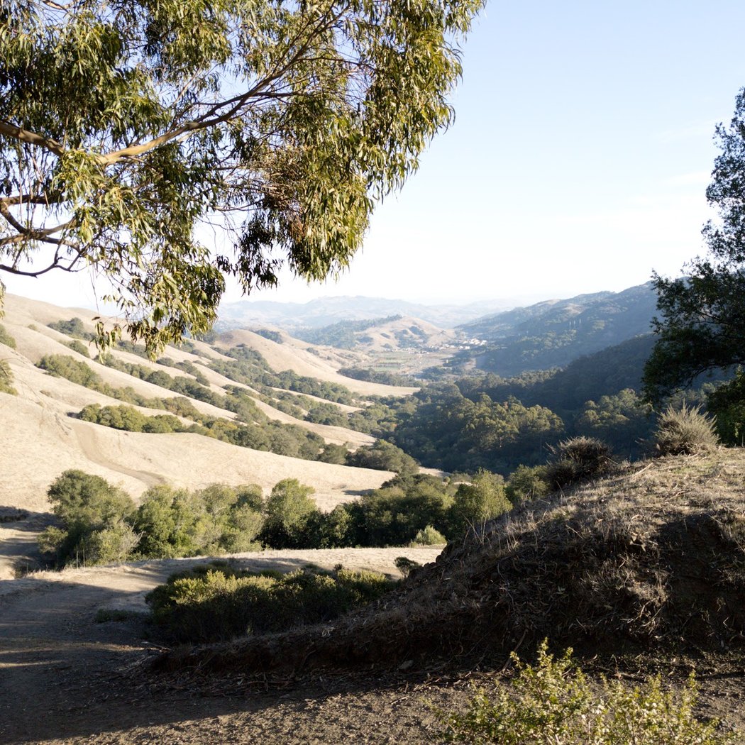 Scotts Peak Trailhead 2
