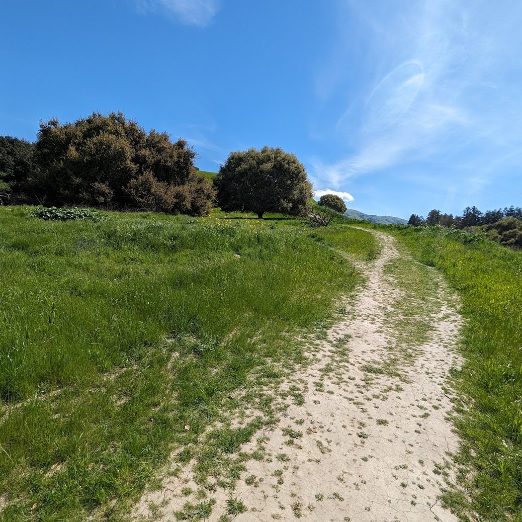 Trail Head, Sabercat Creek Trail 1