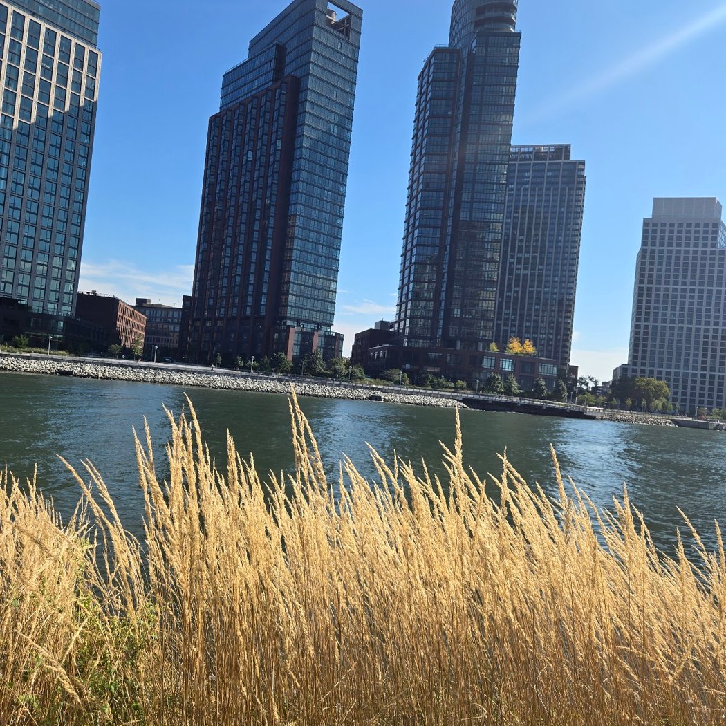 Hunter's Point South Park Observation Deck 5
